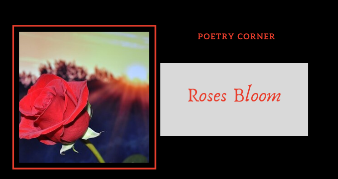 Poetry Corner- Roses Bloom