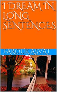 I DREAM IN LONG SENTENCES - FAROUK ASVAT